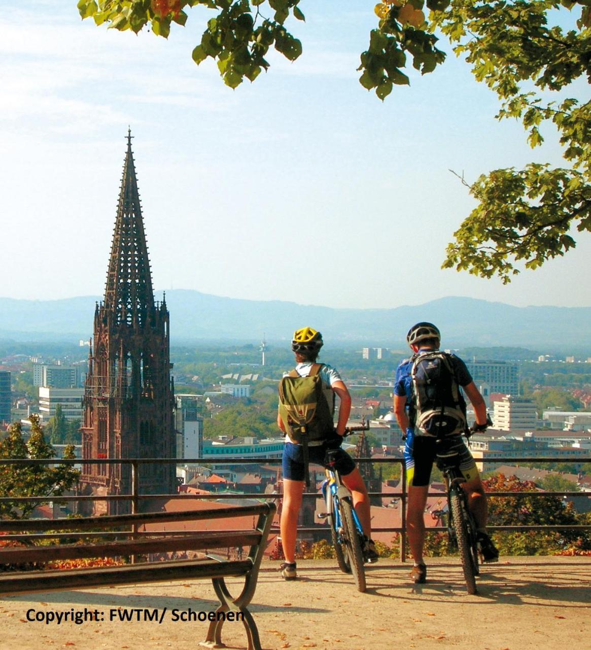 Invite Hotel Loewen Freiburg Ngoại thất bức ảnh